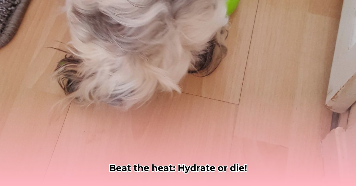 extra-zout-bij-warm-weer